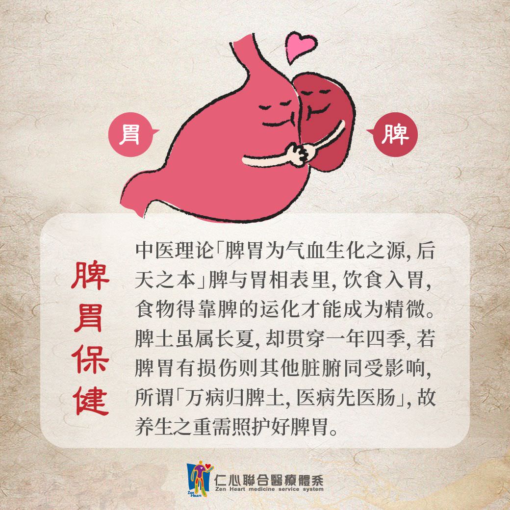 脾胃