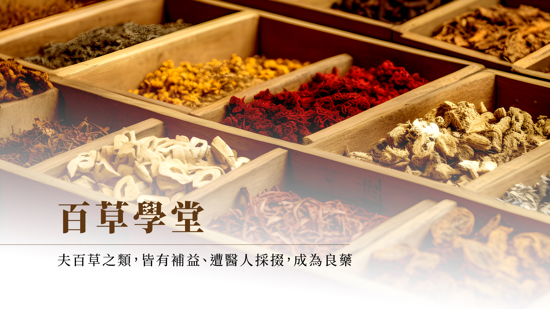 百草學堂